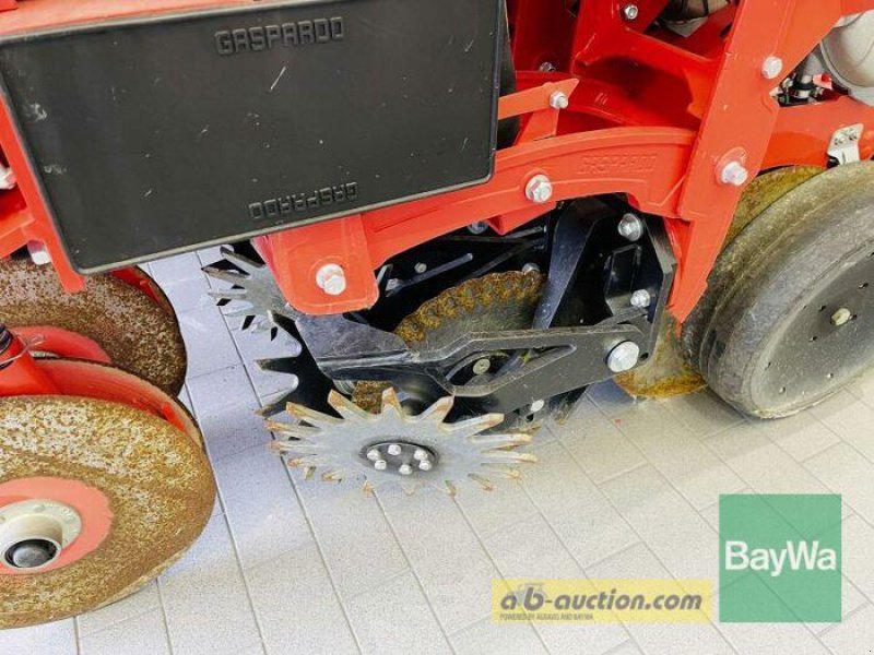 Einzelkornsägerät a típus Maschio CHRONO 306, Gebrauchtmaschine ekkor: Manching (Kép 8)