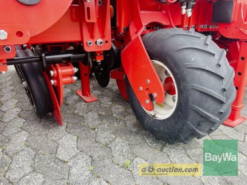 Einzelkornsägerät des Typs Maschio CHRONO 512 + FRONTTANK PA 1, Gebrauchtmaschine in Manching (Bild 12)