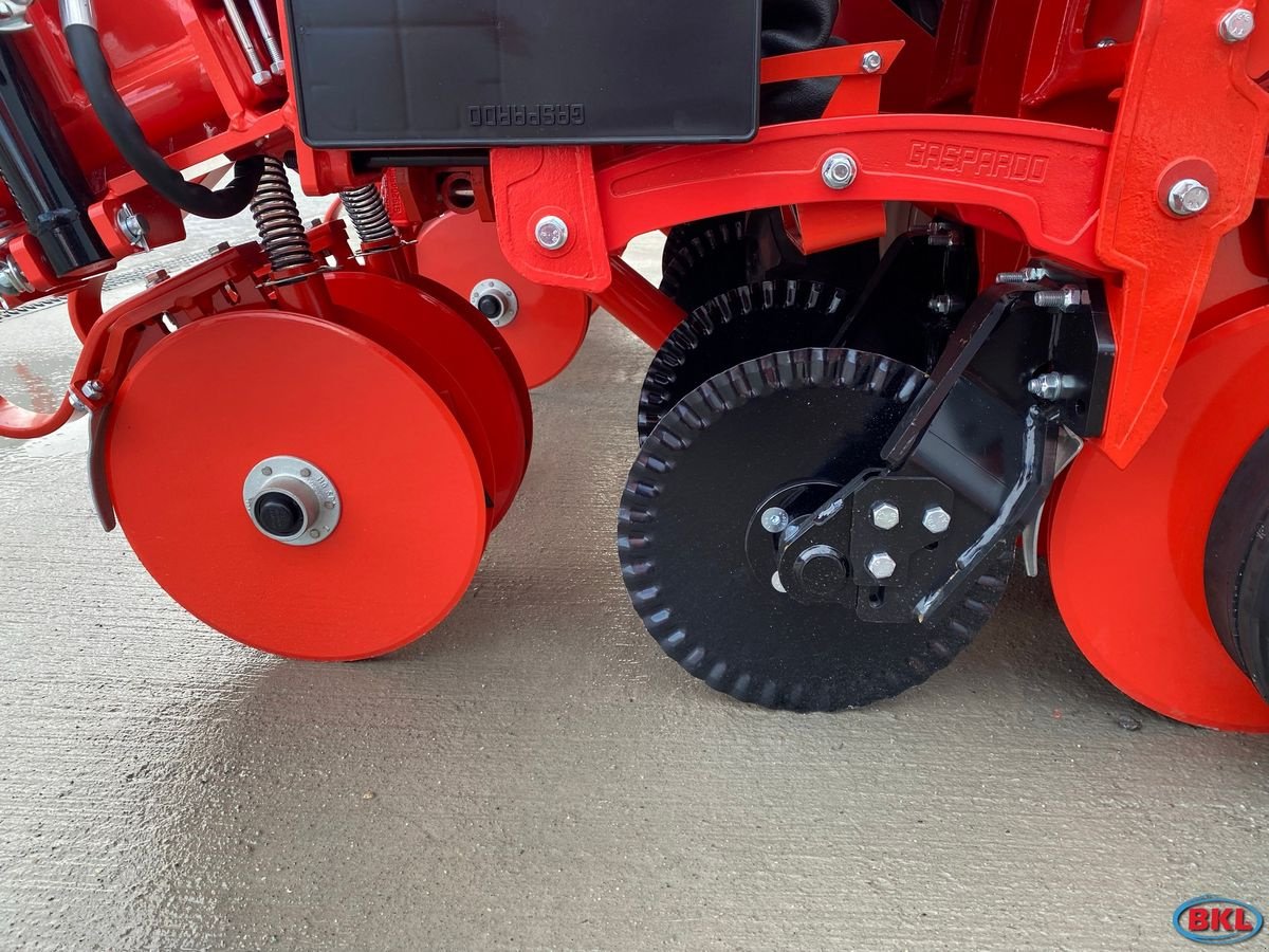 Einzelkornsägerät del tipo Maschio Gaspardo Chrono 300 6r, Neumaschine In Rovisce (Immagine 11)