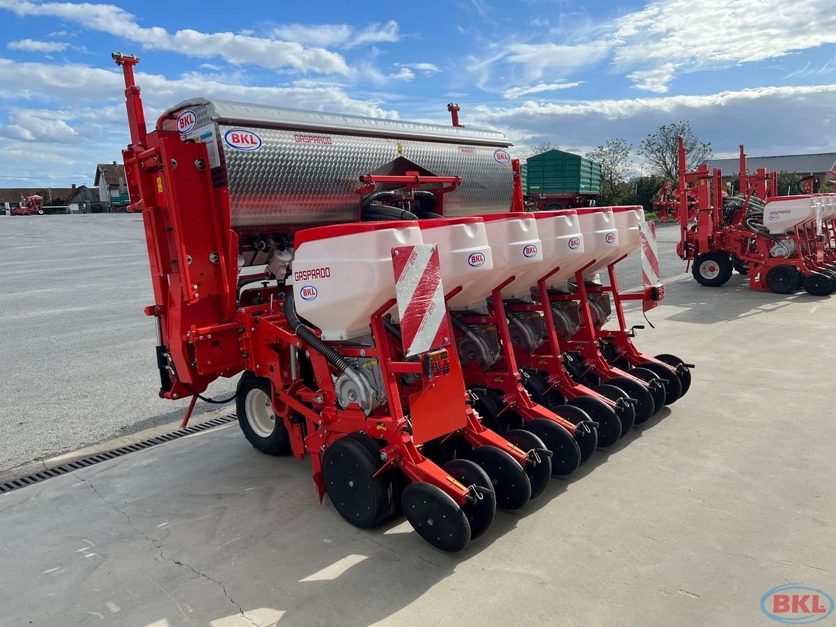 Einzelkornsägerät des Typs Maschio Gaspardo Magica MT 6 BBX Hyd.verstelbar 45-75cm, Neumaschine in Rovisce (Bild 12)