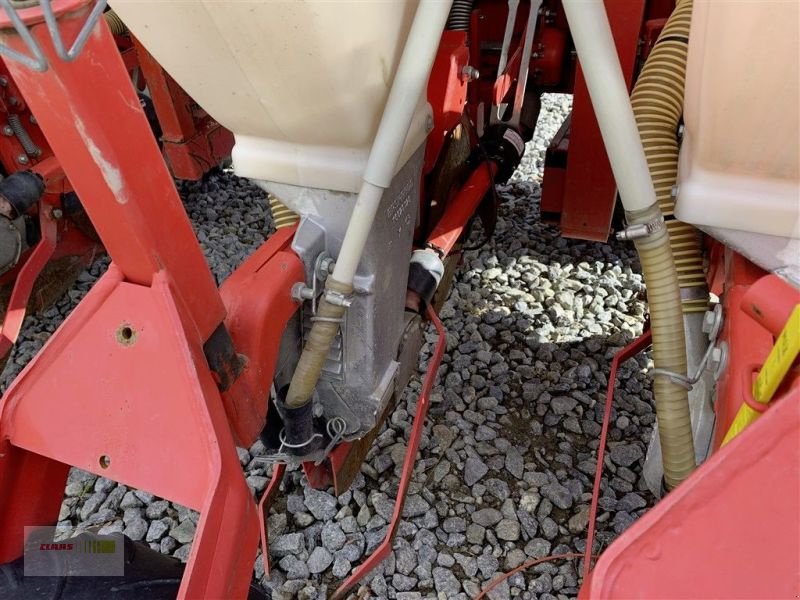 Einzelkornsägerät des Typs Maschio GASPARO SARA 6 ROWS, Gebrauchtmaschine in Mengkofen (Bild 7)