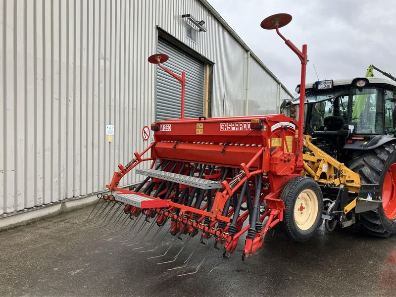 Einzelkornsägerät des Typs Maschio M250 + ALPEGO DD250, Gebrauchtmaschine in Freystadt