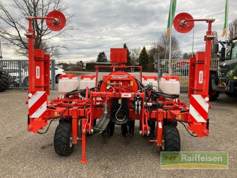 Einzelkornsägerät typu Maschio Maissägerät Magica 6 R, Gebrauchtmaschine v Bühl (Obrázek 9)