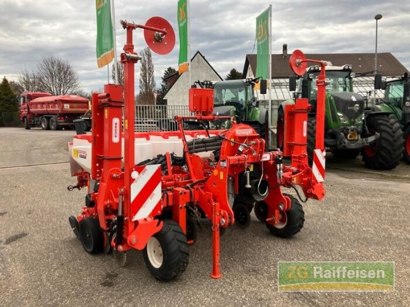 Einzelkornsägerät typu Maschio Maissägerät Magica 6 R, Gebrauchtmaschine v Bühl (Obrázek 8)