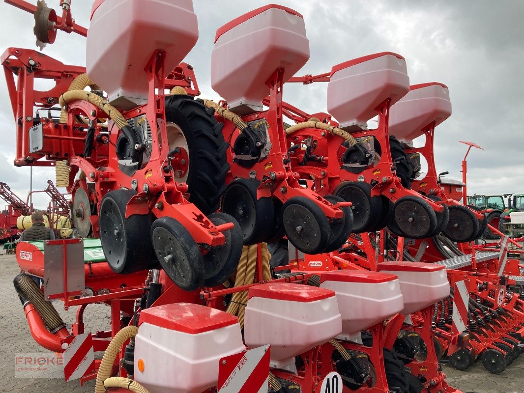 Einzelkornsägerät del tipo Maschio Manta 8-reihig, Gebrauchtmaschine In Bockel - Gyhum (Immagine 5)