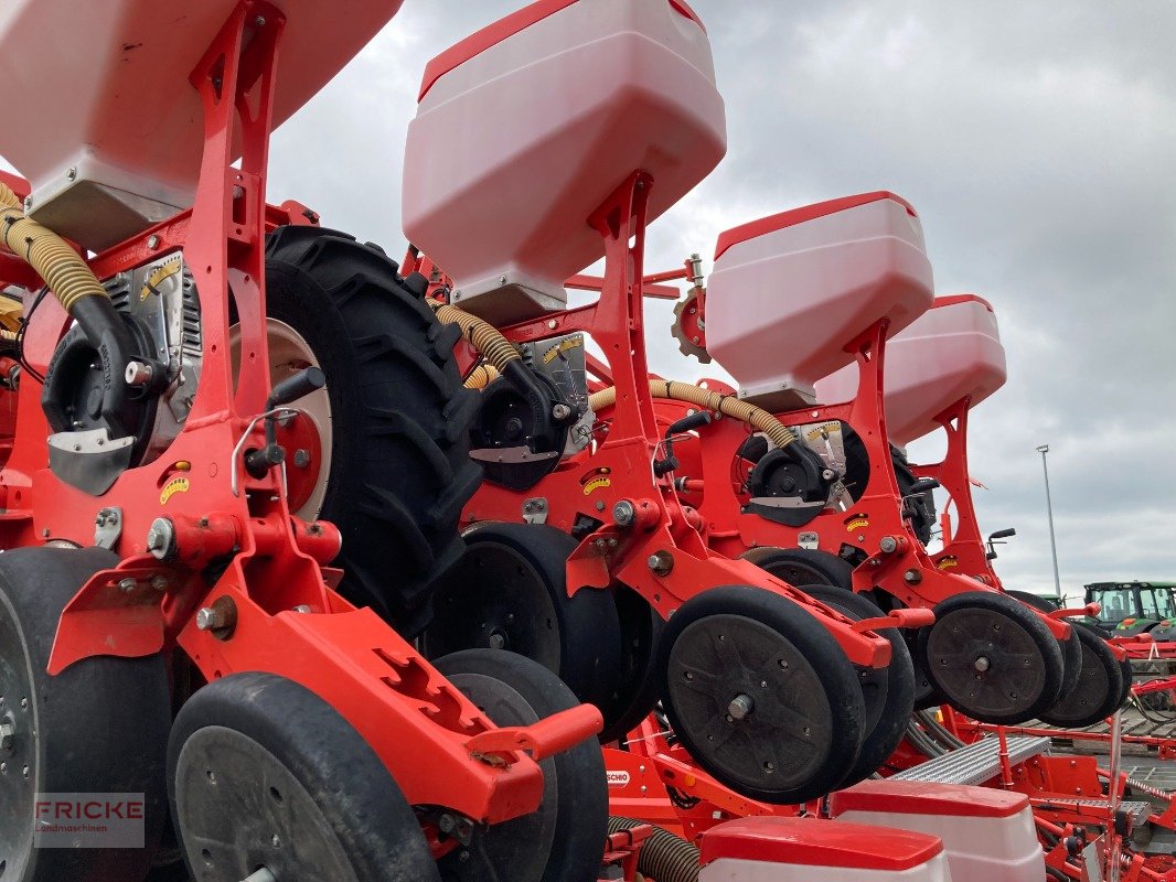 Einzelkornsägerät del tipo Maschio Manta 8-reihig, Gebrauchtmaschine In Bockel - Gyhum (Immagine 7)