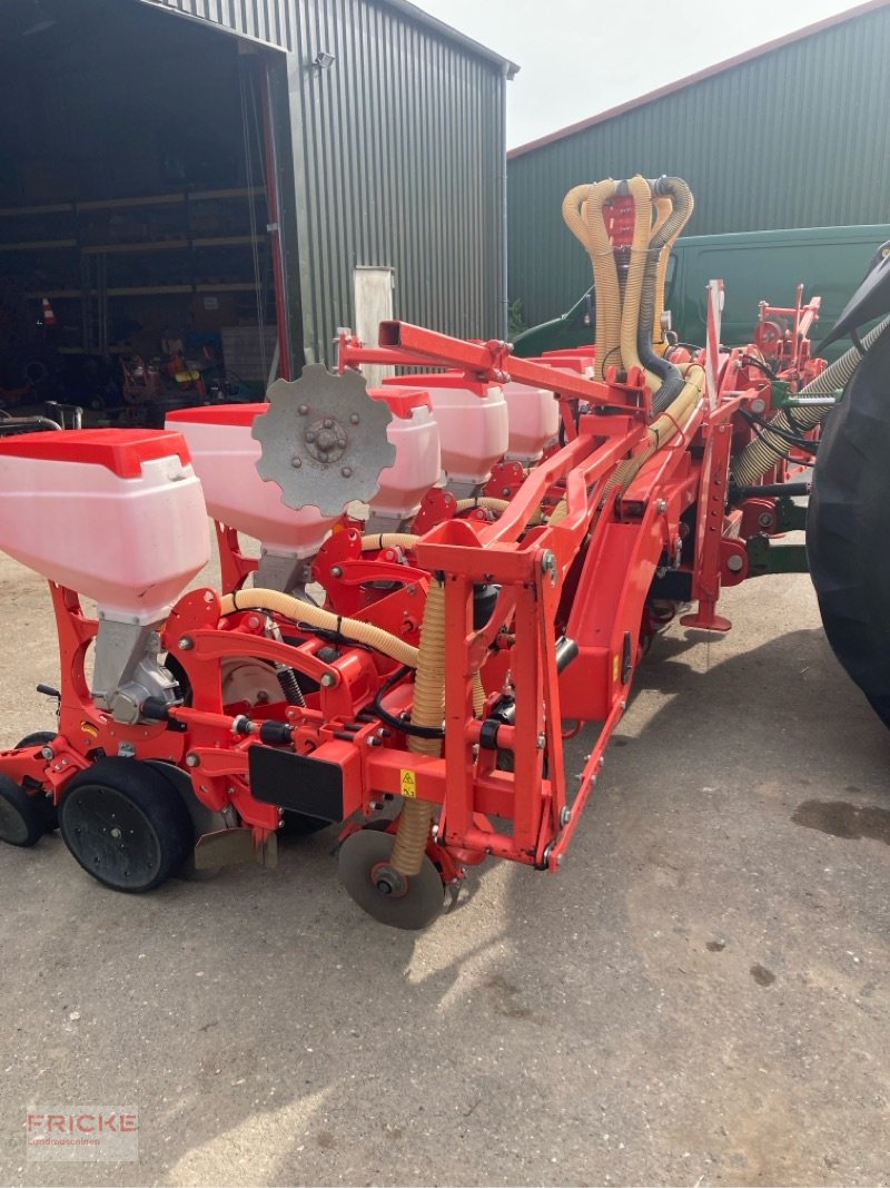 Einzelkornsägerät tip Maschio Manta 8-reihig, Gebrauchtmaschine in Bockel - Gyhum (Poză 8)