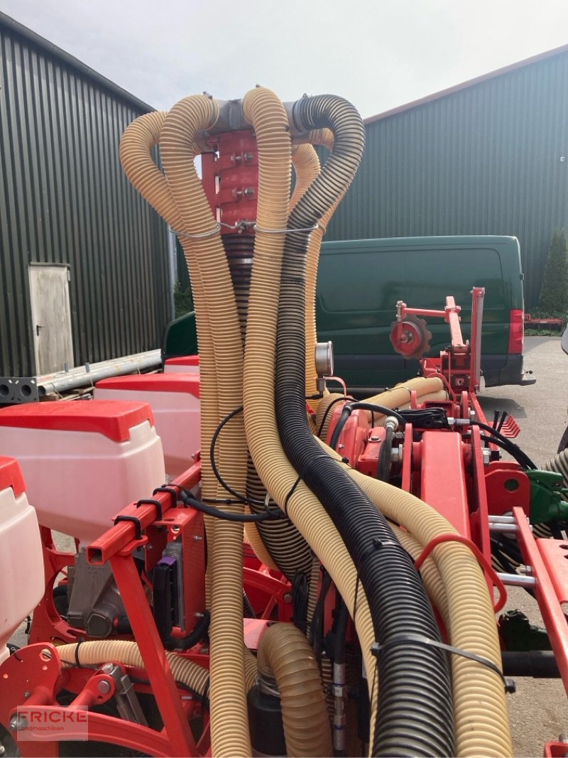 Einzelkornsägerät tip Maschio Manta 8-reihig, Gebrauchtmaschine in Bockel - Gyhum (Poză 10)