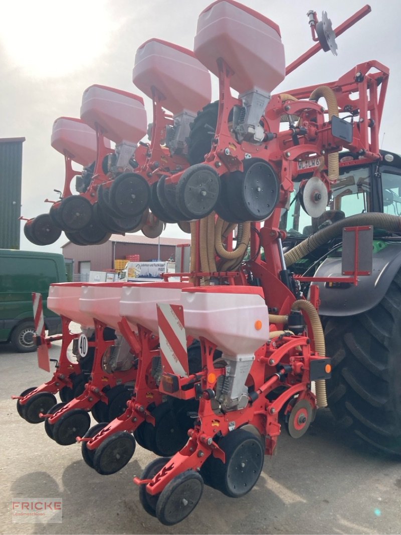 Einzelkornsägerät tip Maschio Manta 8-reihig, Gebrauchtmaschine in Bockel - Gyhum (Poză 2)