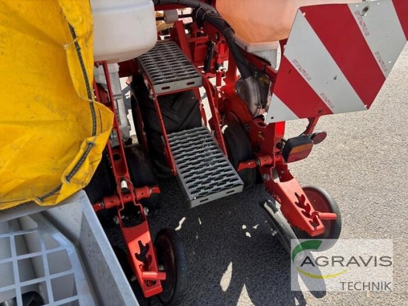 Einzelkornsägerät of the type Maschio MIRKA, Gebrauchtmaschine in Meppen (Picture 11)