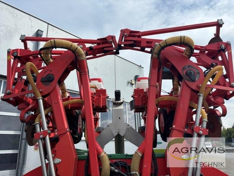 Einzelkornsägerät tip Maschio MIRKA, Gebrauchtmaschine in Salzkotten (Poză 8)