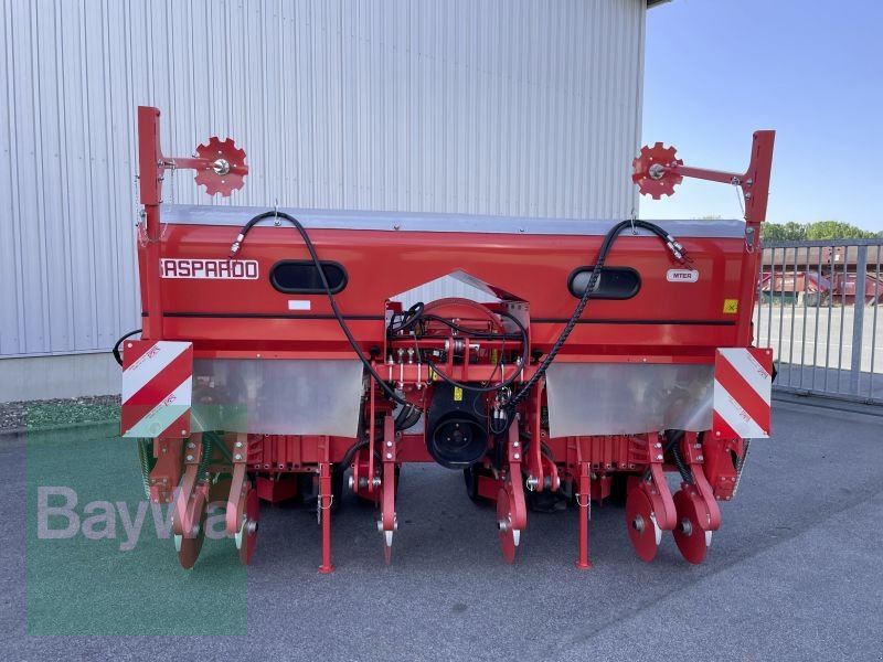 Einzelkornsägerät του τύπου Maschio MTE-R 300 6-REIHIG BB-XL ISOTR, Gebrauchtmaschine σε Bamberg (Φωτογραφία 1)