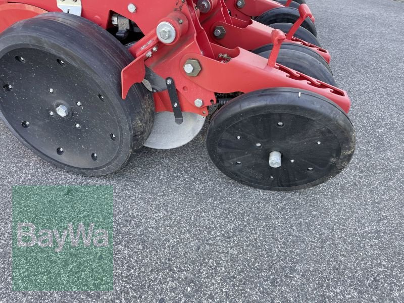 Einzelkornsägerät типа Maschio MTE-R 300 6-REIHIG BB-XL ISOTR, Gebrauchtmaschine в Bamberg (Фотография 11)