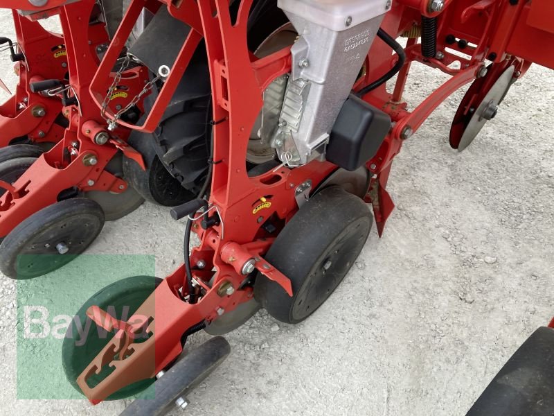 Einzelkornsägerät от тип Maschio MTE-R 300 6-REIHIG BB-XL, Gebrauchtmaschine в Dinkelsbühl (Снимка 12)