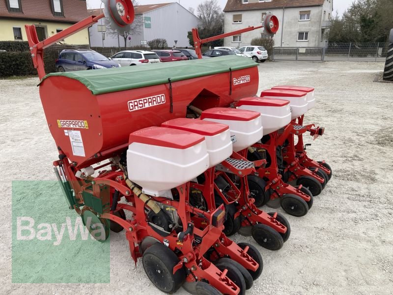 Einzelkornsägerät van het type Maschio MTE-R 300 6-REIHIG BB-XL, Gebrauchtmaschine in Dinkelsbühl