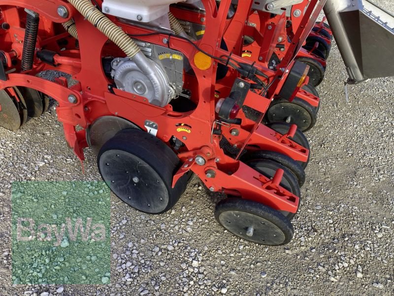 Einzelkornsägerät des Typs Maschio MTE-R 300 BB-XL, Gebrauchtmaschine in Dinkelsbühl (Bild 9)