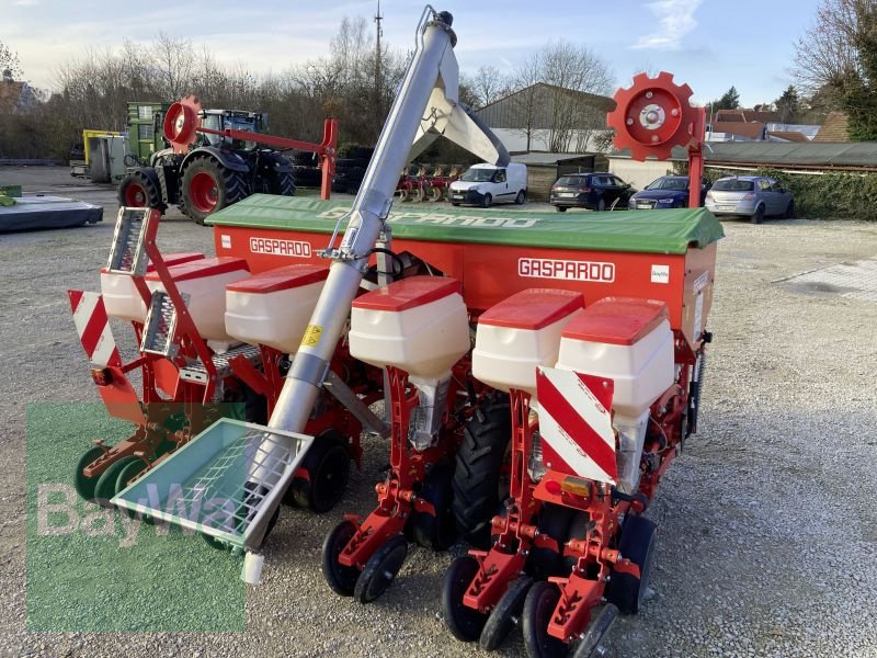 Einzelkornsägerät des Typs Maschio MTE-R 300 BB-XL, Gebrauchtmaschine in Dinkelsbühl (Bild 3)