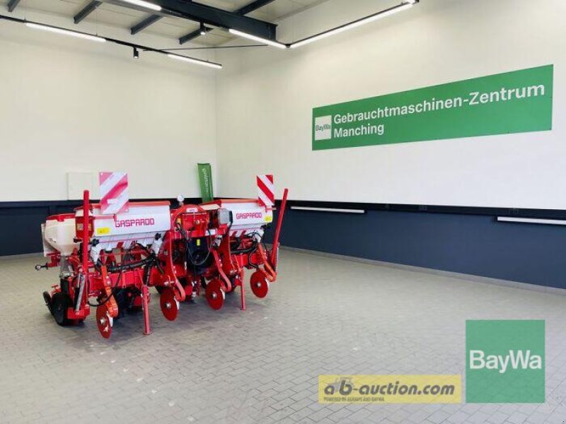 Einzelkornsägerät du type Maschio MTR 4 75CM, Gebrauchtmaschine en Manching (Photo 1)