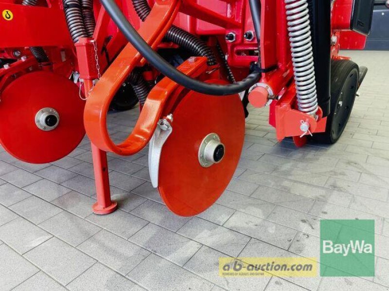 Einzelkornsägerät des Typs Maschio MTR 4 75CM, Gebrauchtmaschine in Manching (Bild 12)