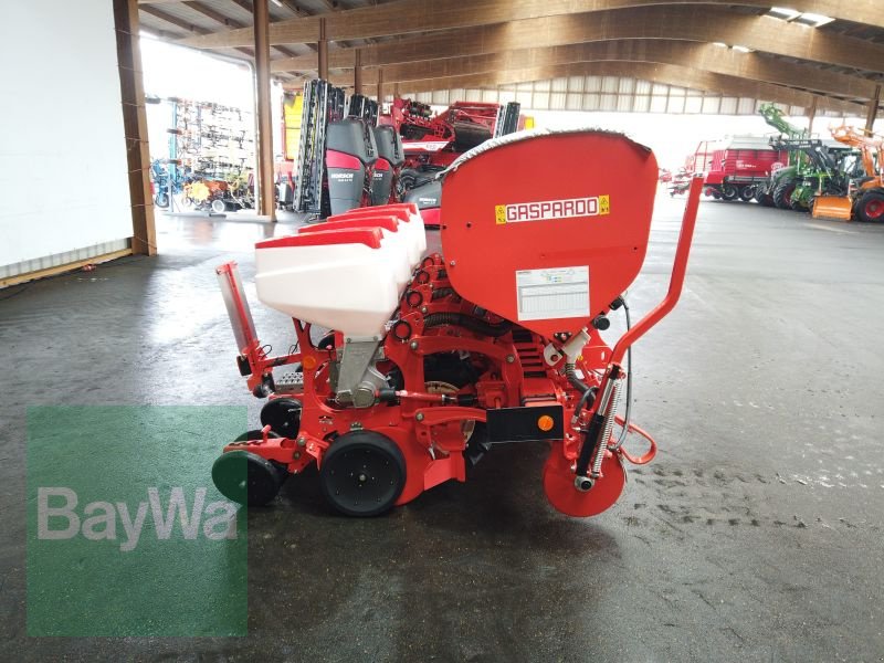 Einzelkornsägerät des Typs Maschio MTR 4-R, Gebrauchtmaschine in Erbach (Bild 8)