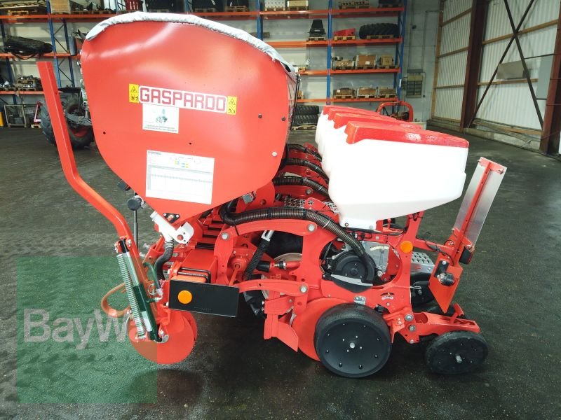 Einzelkornsägerät des Typs Maschio MTR 4-R, Gebrauchtmaschine in Erbach (Bild 4)