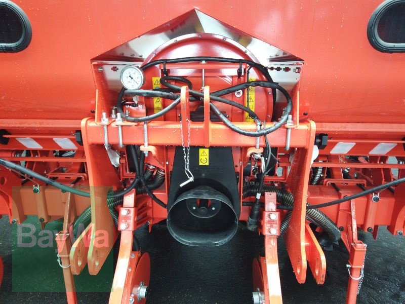 Einzelkornsägerät des Typs Maschio MTR 4-R, Gebrauchtmaschine in Erbach (Bild 2)