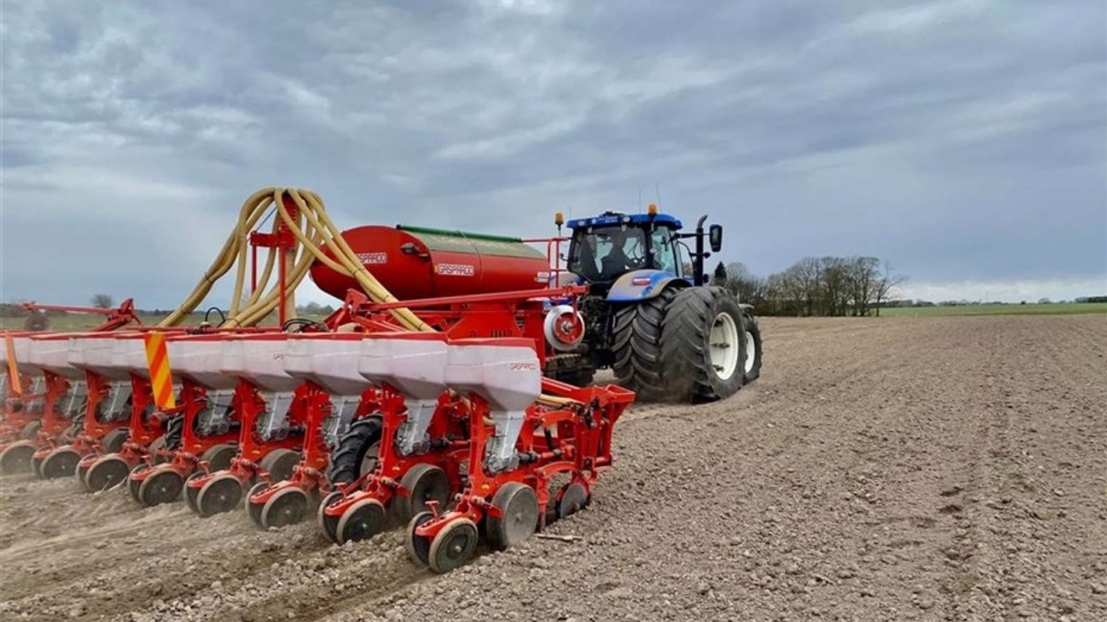 Einzelkornsägerät van het type Maschio Scatenata + Manta XL 12/75, Gebrauchtmaschine in Gjerlev J. (Foto 1)