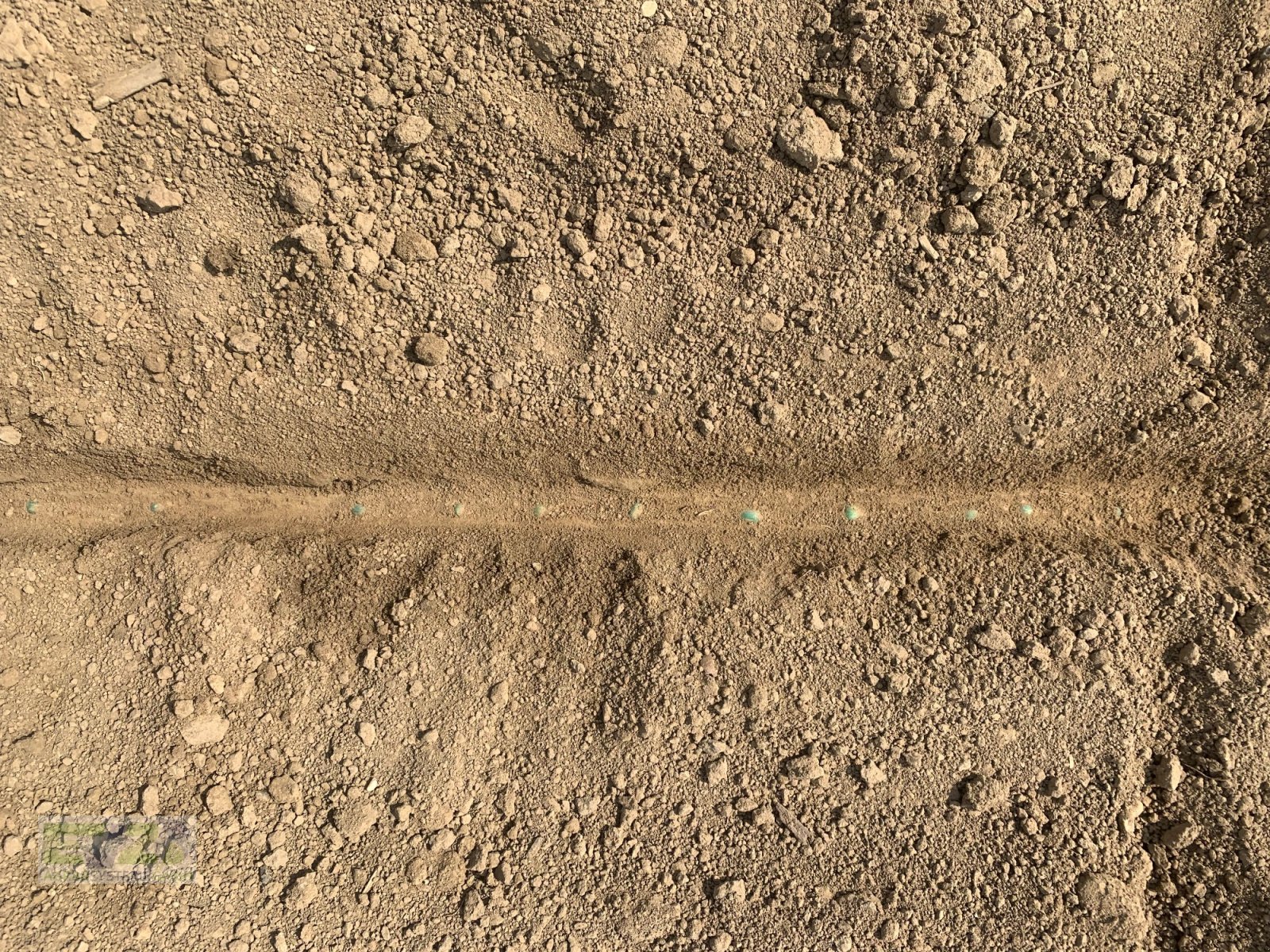 Einzelkornsägerät typu Sfoggia Sigma5, Gebrauchtmaschine v Ebersberg (Obrázek 9)