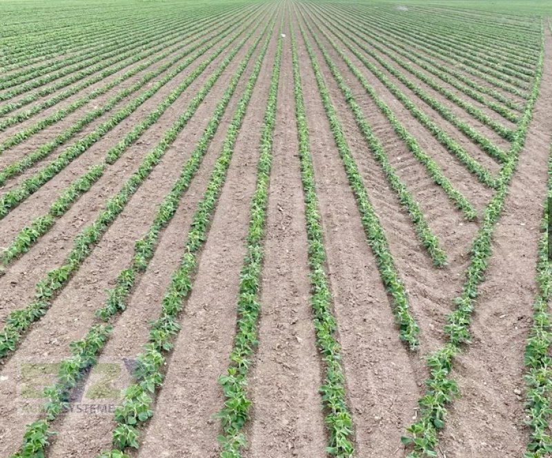 Einzelkornsägerät typu Sfoggia Sigma5, Gebrauchtmaschine v Ebersberg (Obrázek 10)