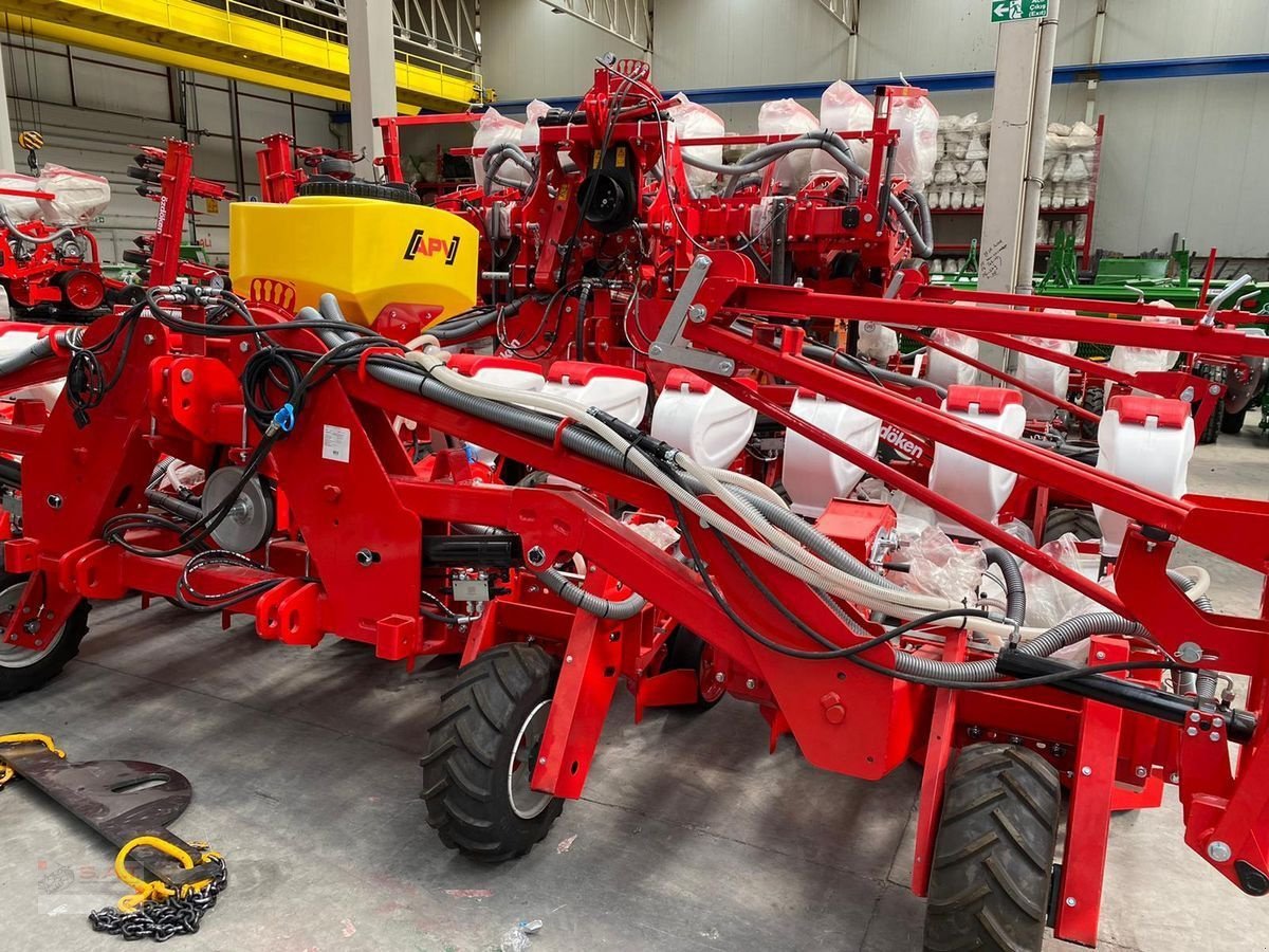 Einzelkornsägerät typu Sonstige Oktopus D 12 reihig, Neumaschine v Eberschwang (Obrázek 4)