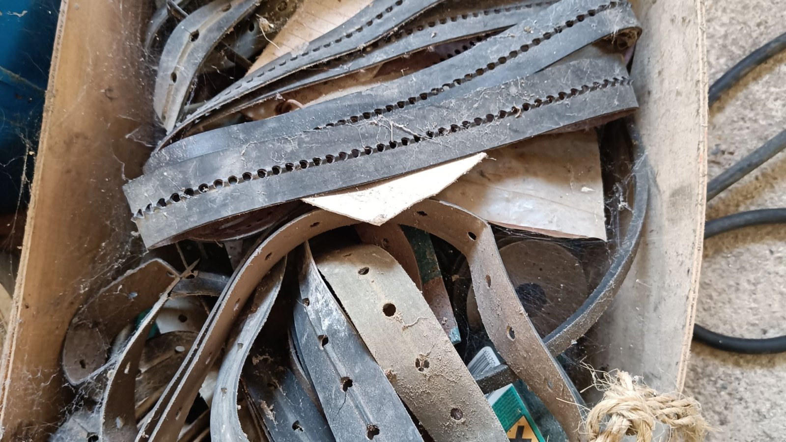 Einzelkornsägerät of the type Sonstige Stanhay S870 såmaskine 10 rækket,, Gebrauchtmaschine in Egtved (Picture 9)