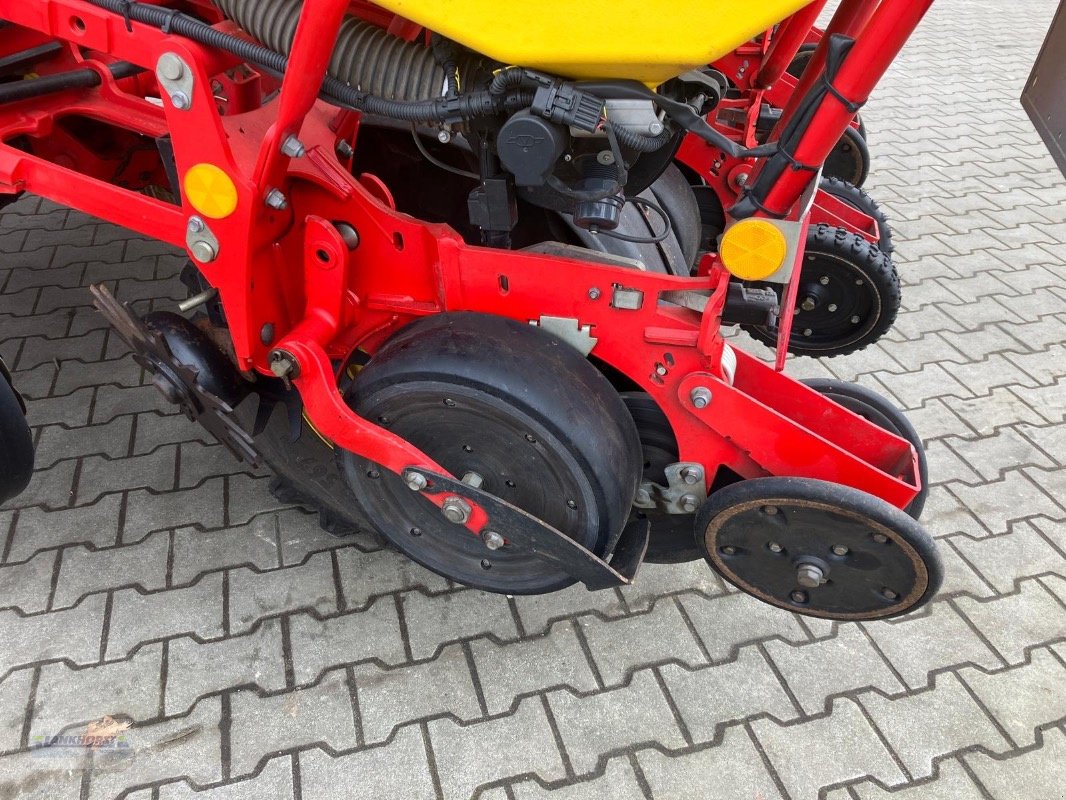 Einzelkornsägerät of the type Väderstad TEMPO F 8, Gebrauchtmaschine in Wiefelstede-Spohle (Picture 4)