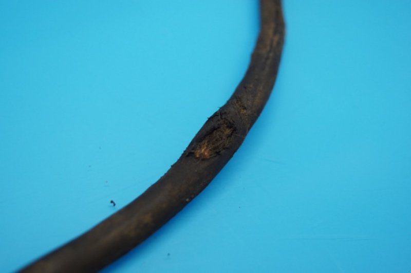 elektronische Zusatzgeräte typu New Holland TM 190, Gebrauchtmaschine v Hemmet (Obrázek 4)