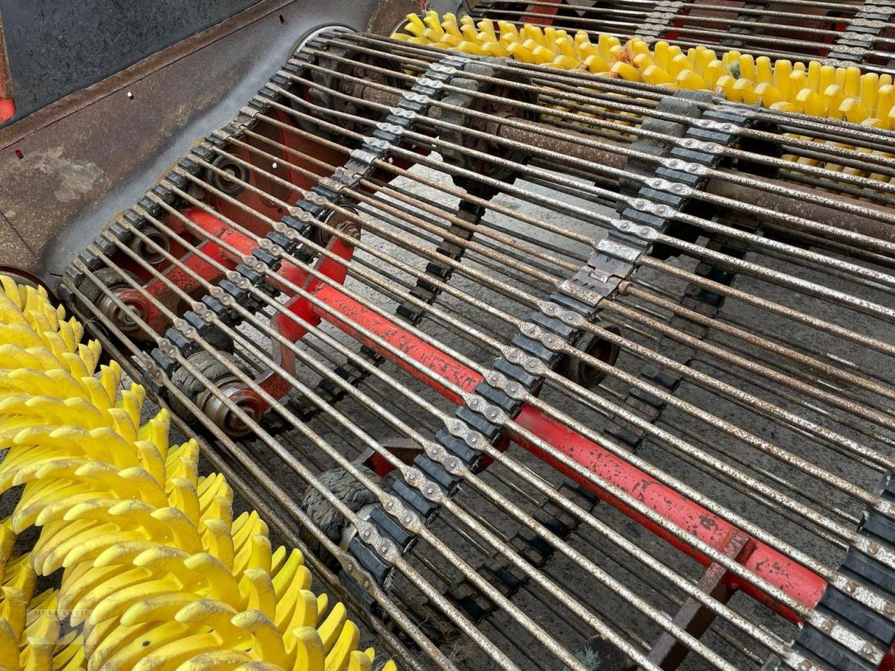 Entsteiner & Beetseparierer typu Grimme CS 1500, Gebrauchtmaschine v Pragsdorf (Obrázek 5)