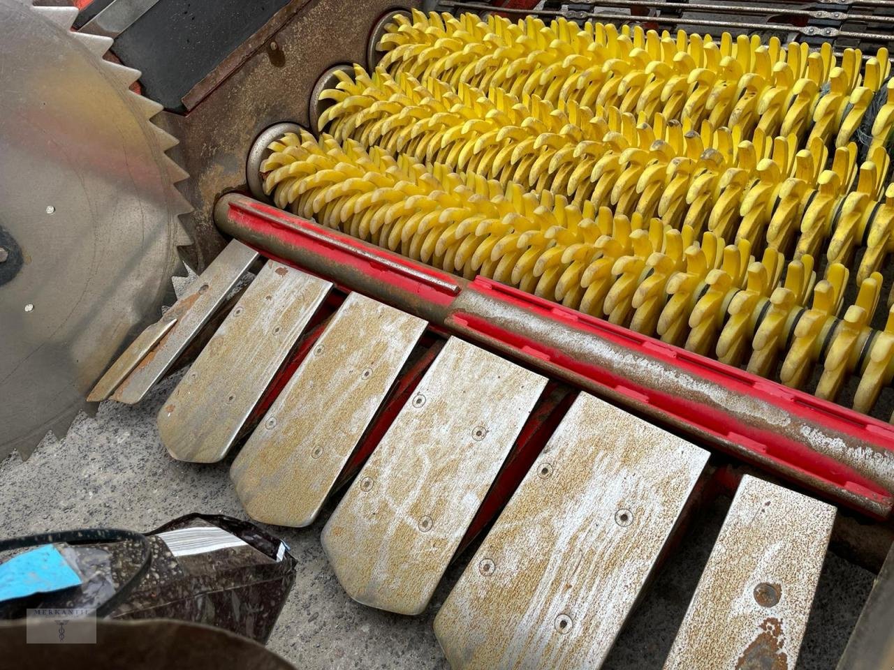 Entsteiner & Beetseparierer Türe ait Grimme CS1500 Neuer Preis!, Gebrauchtmaschine içinde Pragsdorf (resim 5)