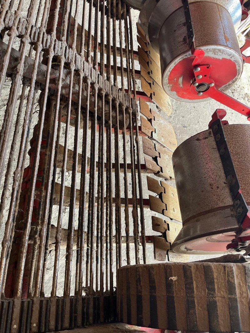 Entsteiner & Beetseparierer от тип Grimme GT 170, Gebrauchtmaschine в Elmenhorst-Lanken (Снимка 4)