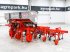 Federzinkengrubber of the type Maschio HS6 folding frame, 8-row inter-row cultivator, Gebrauchtmaschine in Csengele (Picture 3)