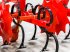 Federzinkengrubber of the type Maschio HS6 folding frame, 8-row inter-row cultivator, Gebrauchtmaschine in Csengele (Picture 26)