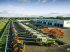 Federzinkengrubber типа Maschio HS6 UNUSED folding frame, 6-row inter-row cultivator, Gebrauchtmaschine в Csengele (Фотография 31)