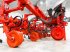Federzinkengrubber типа Maschio HS6 UNUSED folding frame, 6-row inter-row cultivator, Gebrauchtmaschine в Csengele (Фотография 28)