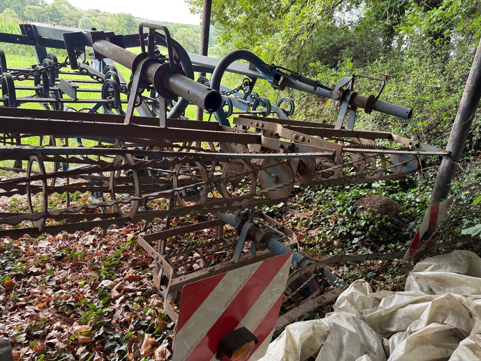 Federzinkengrubber del tipo Rabe Federzinkenegge, Gebrauchtmaschine In Büchenbach (Immagine 3)