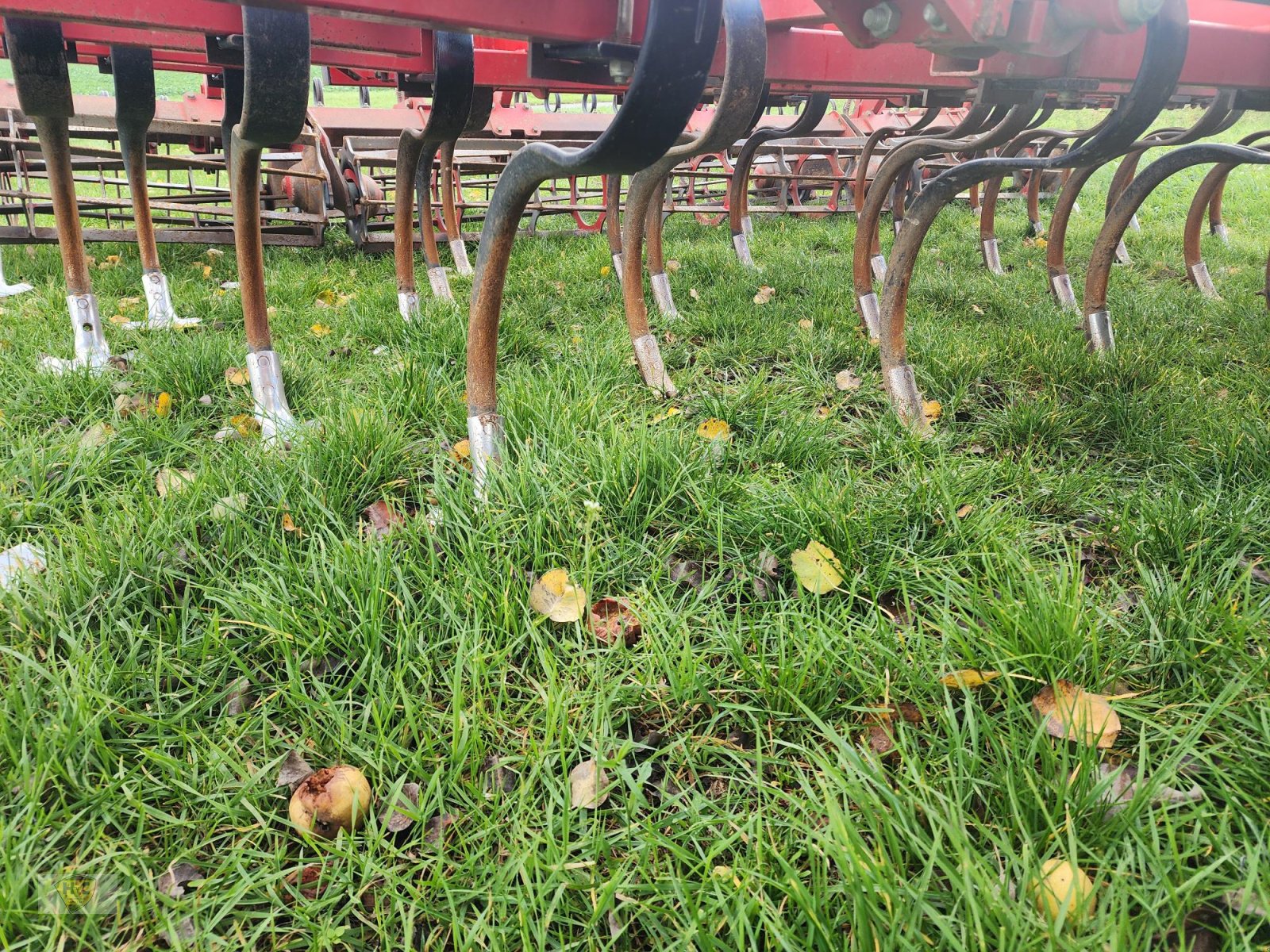 Federzinkengrubber del tipo Sauerburger Libero 5000, Gebrauchtmaschine In Willanzheim (Immagine 14)