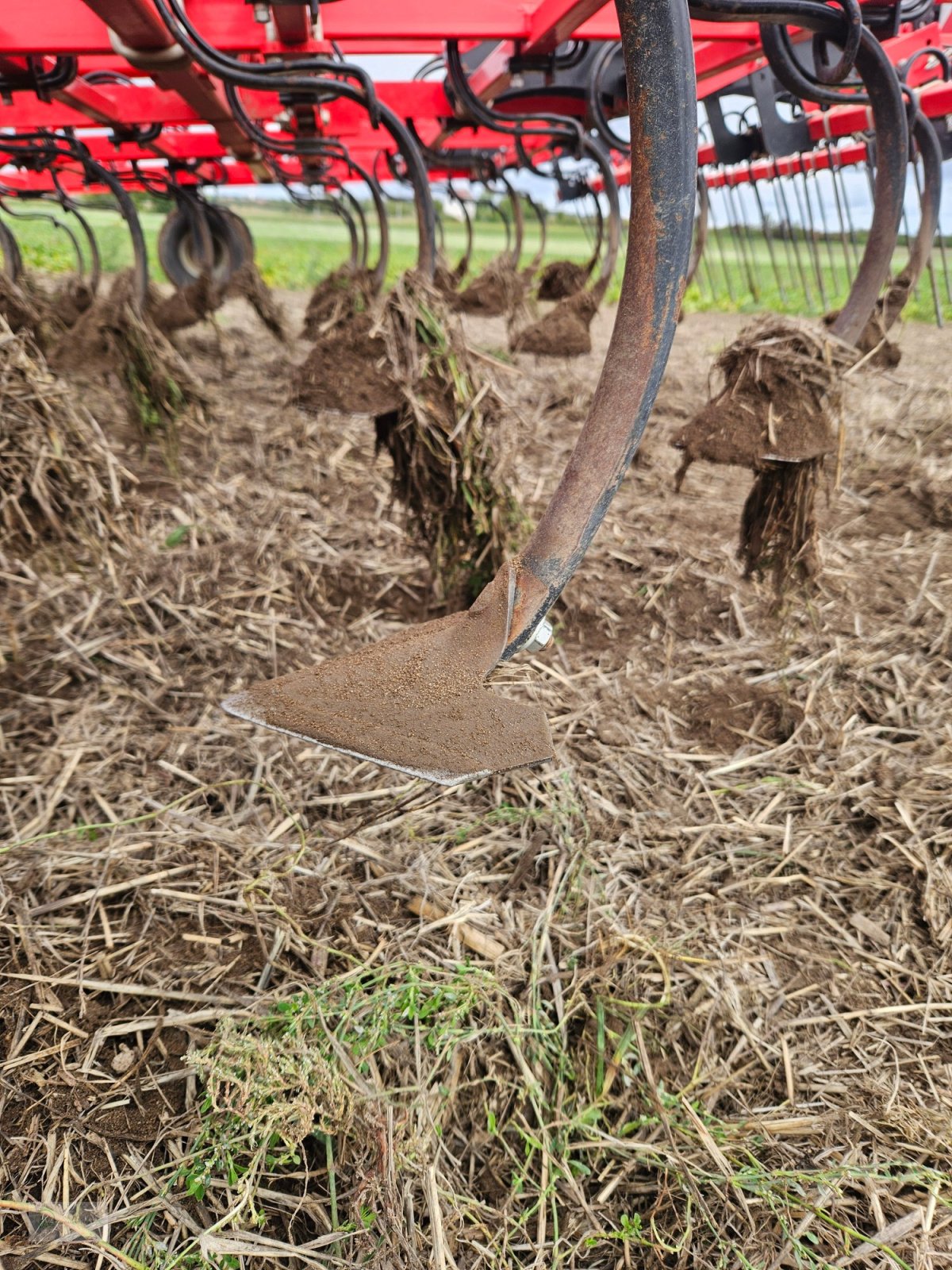 Federzinkengrubber of the type Siptec Vibro B 500-7-2, Gebrauchtmaschine in Donnersdorf (Picture 6)