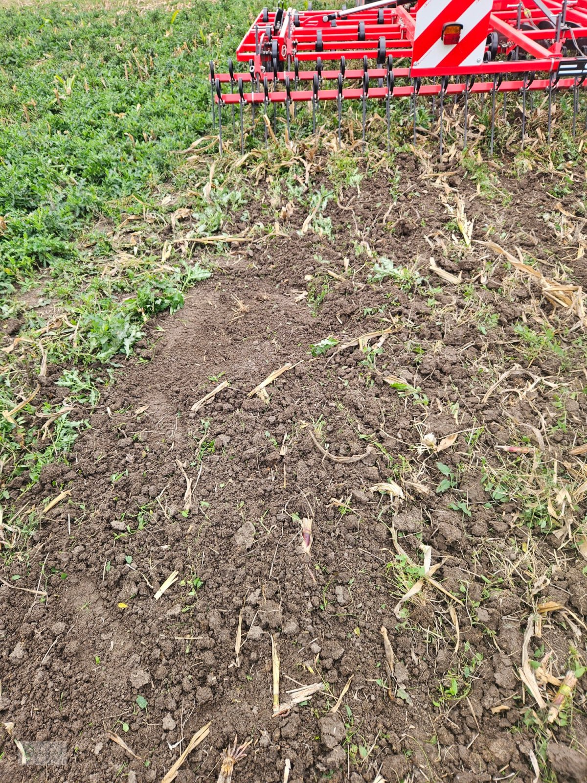 Federzinkengrubber of the type Siptec Vibro B 500-7-2, Gebrauchtmaschine in Donnersdorf (Picture 8)