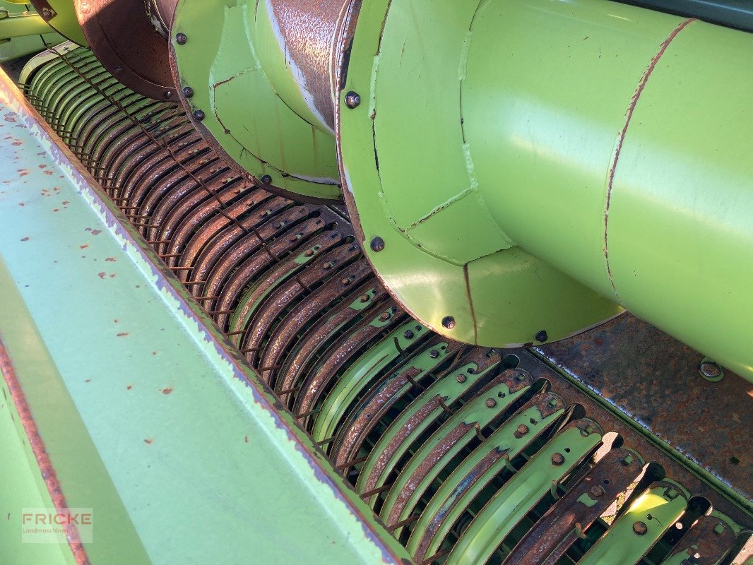 Feldhäcksler Pick-up des Typs CLAAS PU 300 HD, Gebrauchtmaschine in Bockel - Gyhum (Bild 4)