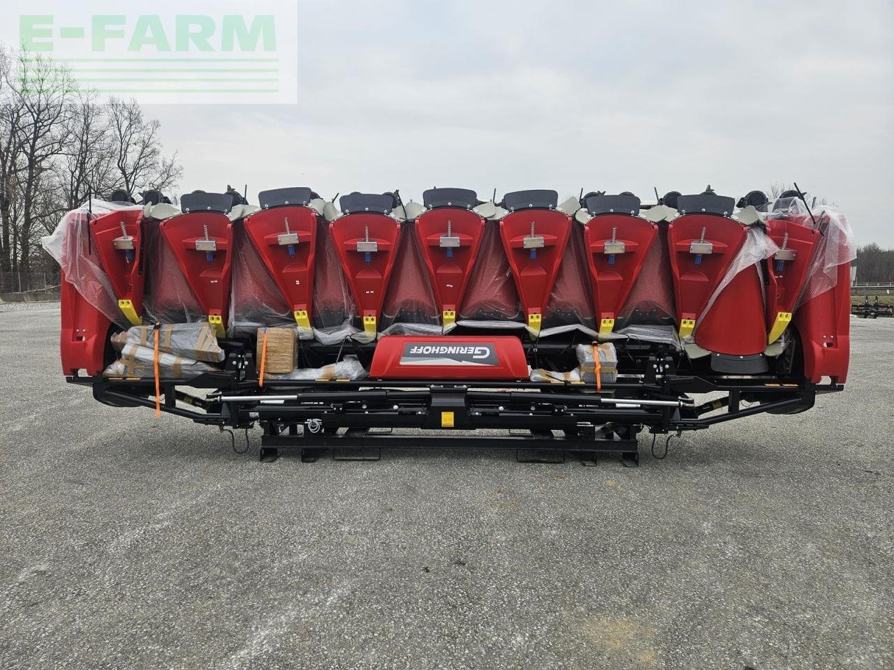 Feldhäcksler Pick-up del tipo Geringhoff mais star horizon msh 970fb, Gebrauchtmaschine In ILZ (Immagine 2)