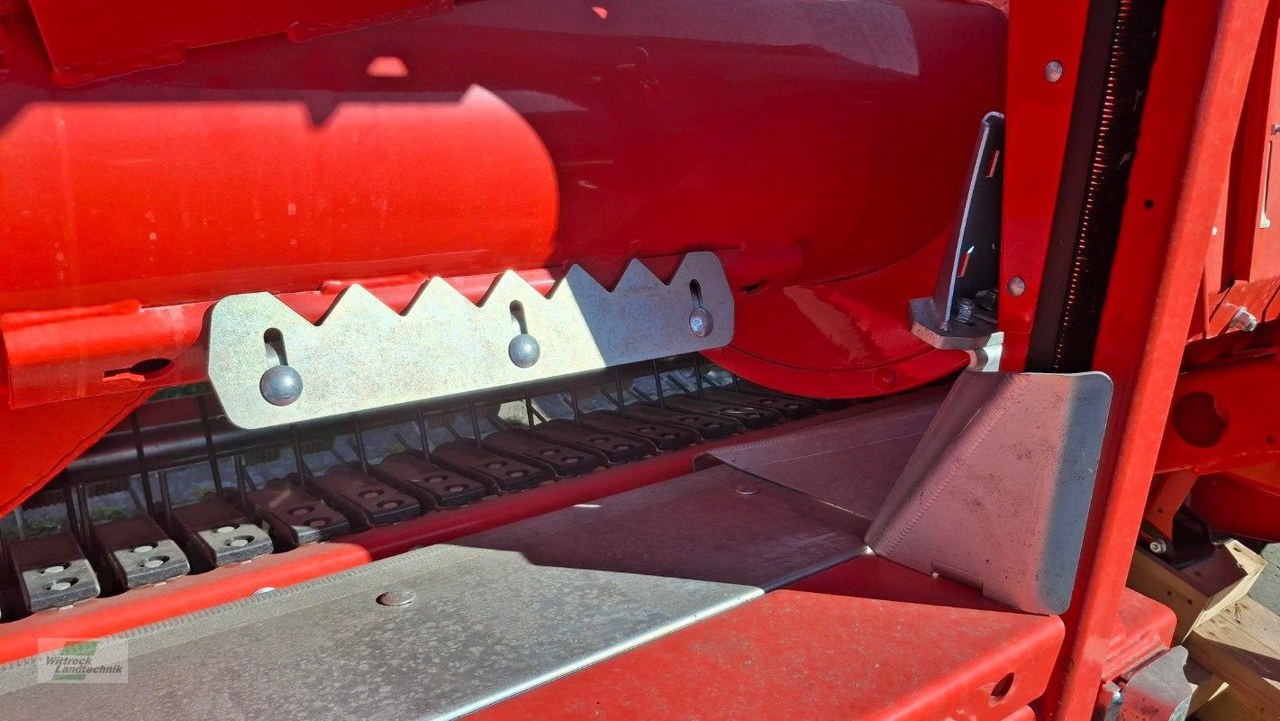 Feldhäcksler Pick-up типа Kemper C3003, Neumaschine в Rhede / Brual (Фотография 14)