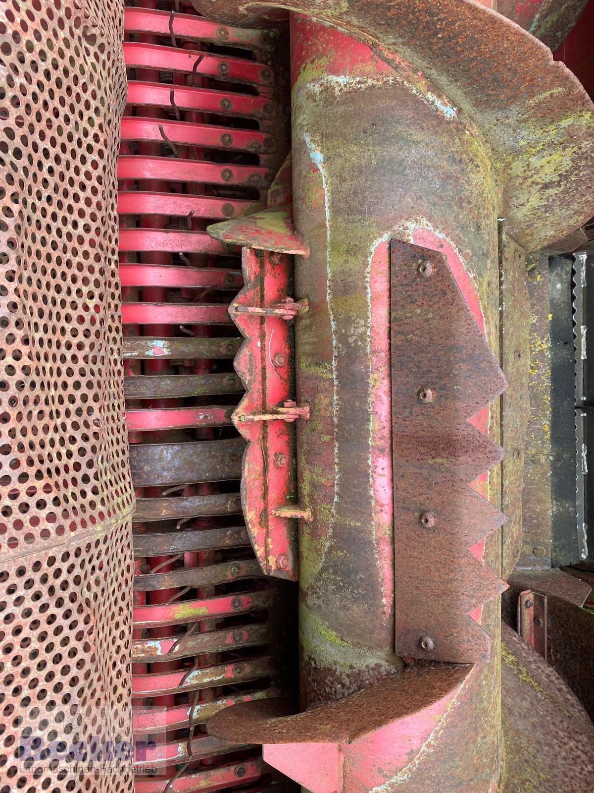 Feldhäcksler Pick-up van het type Mengele Pick-Up 300, Gebrauchtmaschine in Weimar-Niederwalgern (Foto 6)