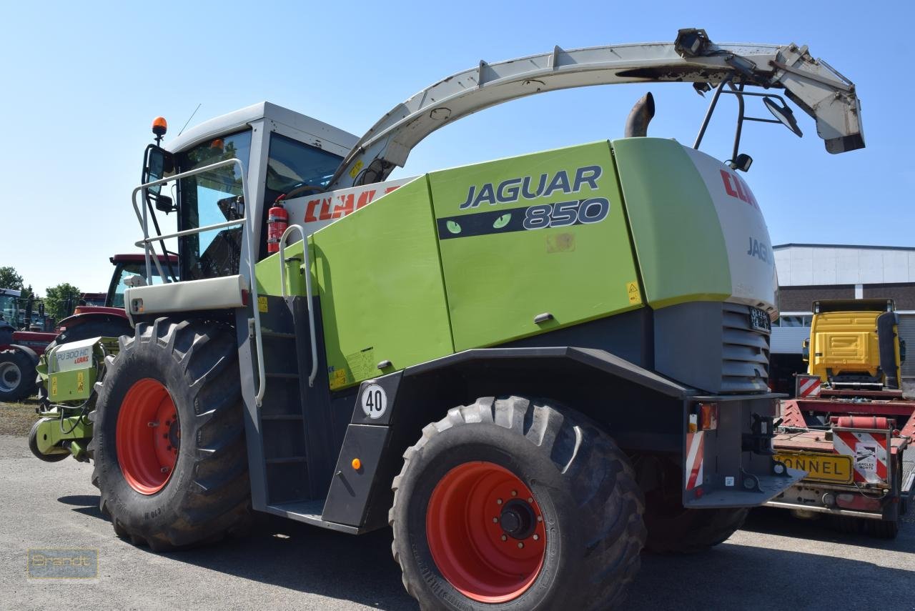 Feldhäcksler des Typs CLAAS Jaguar 850 Speedstar, Gebrauchtmaschine in Oyten (Bild 4)