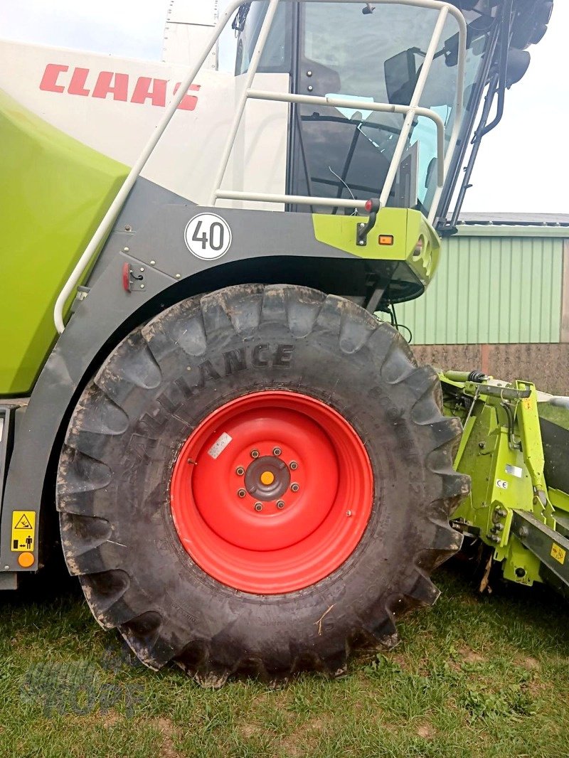 Feldhäcksler des Typs CLAAS Jaguar 860 Dynamic Power Auto-Fill, Gebrauchtmaschine in Schutterzell (Bild 8)